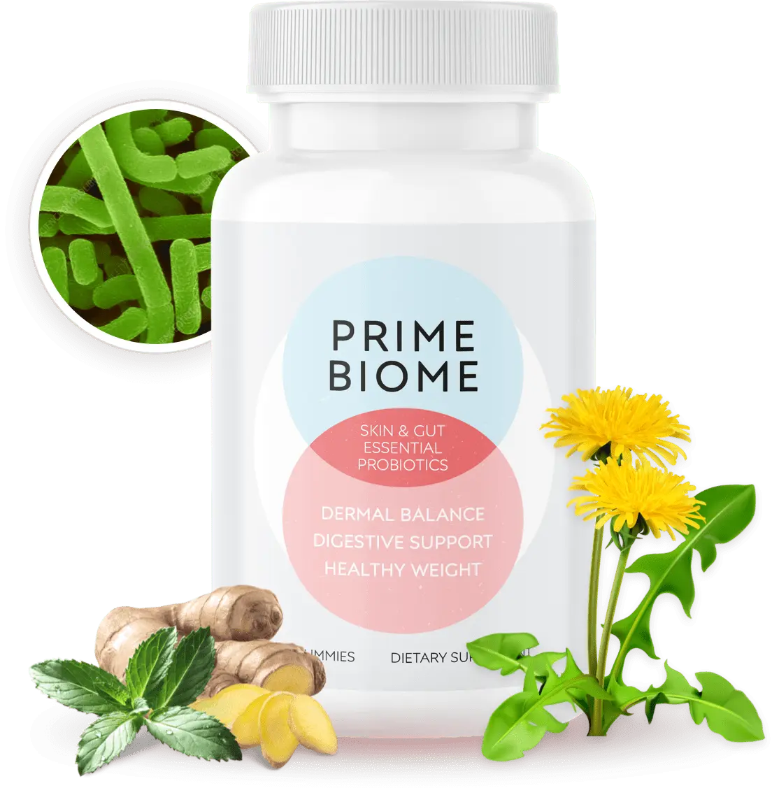PrimeBiome Official