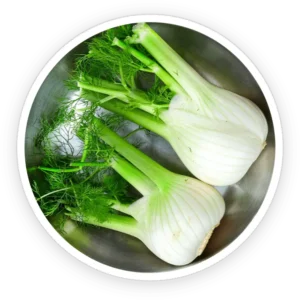 primebiome ingredient 4