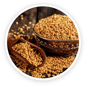 primebiome ingredient 6