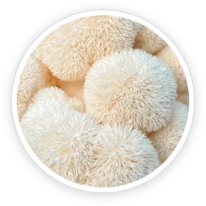 primebiome ingredient 9